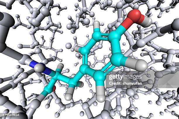 amino acid tyrosine - tyrosine stock pictures, royalty-free photos & images