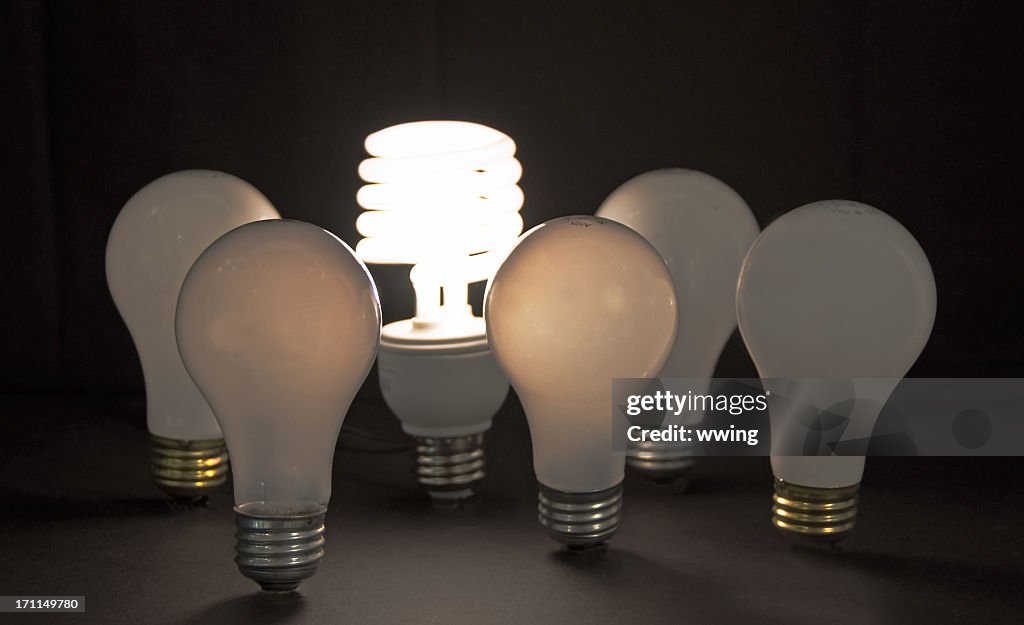 1 beleuchteten CFL-Glühbirne, umgeben von 5 unbeleuchtet funkelnden Glühbirnen