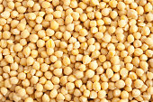 Soaked chickpeas background