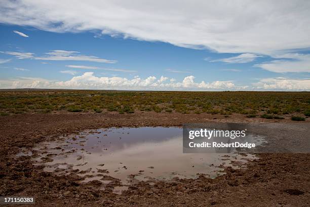 western watering hole - dry ground stock pictures, royalty-free photos & images