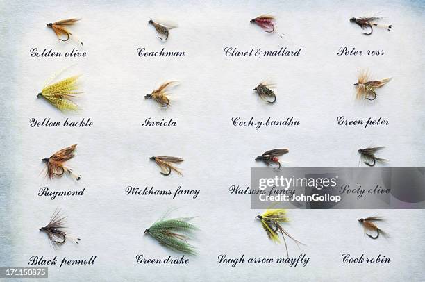 old fishing flies - vishaak visgerei stockfoto's en -beelden