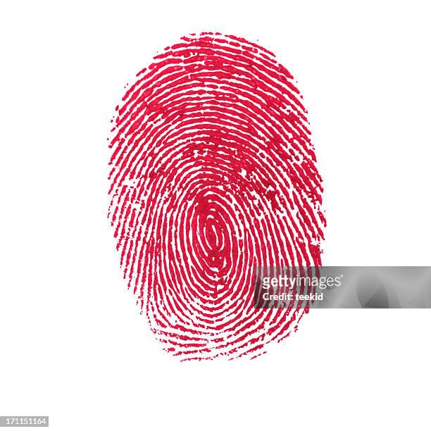 red isolated fingerprint on white background - human finger print stock pictures, royalty-free photos & images