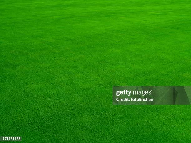 real putting green - green de golf fotografías e imágenes de stock