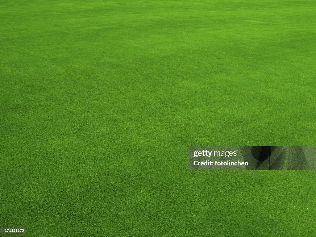 Real Putting Green