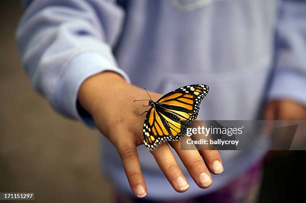 monarch butterfly - butterfly hand stock-fotos und bilder