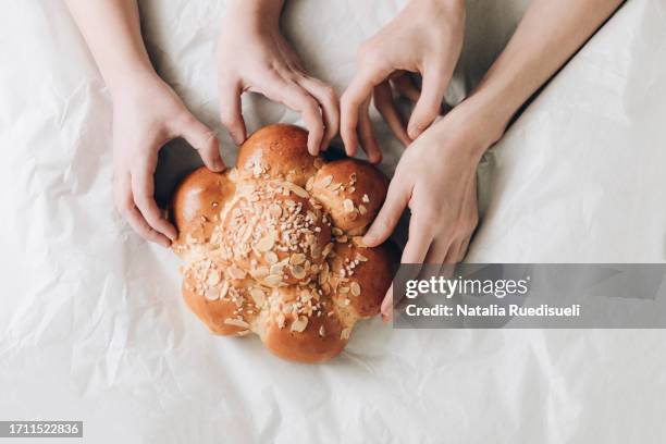 human hands holding three kings cake. swiss tradition of baking dreikönigskuchen - dreikönigsfest foto e immagini stock