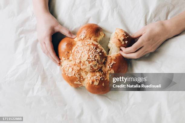 human hands tearing apart three kings cake. swiss tradition of baking dreikönigskuchen on january 6. - dreikönigsfest - fotografias e filmes do acervo