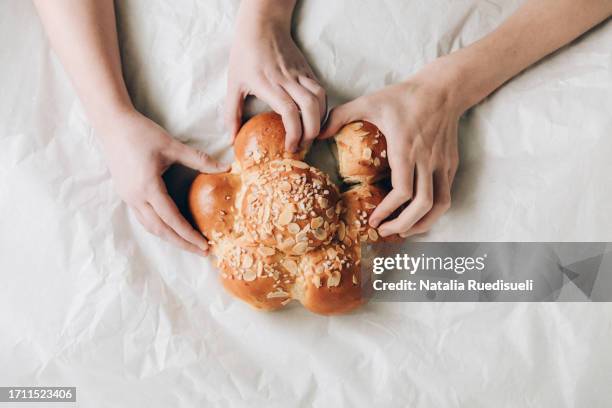 human hands tearing apart three kings cake. swiss tradition of baking dreikönigskuchen on january 6. - dreikönigsfest foto e immagini stock