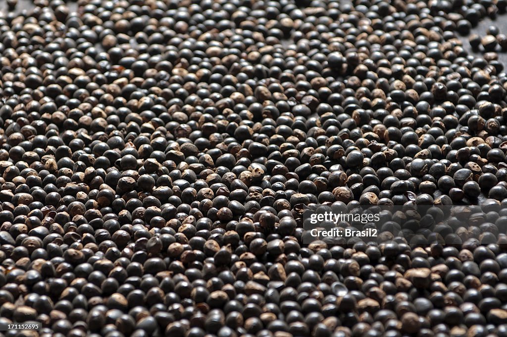 Guarana seeds backgrouds