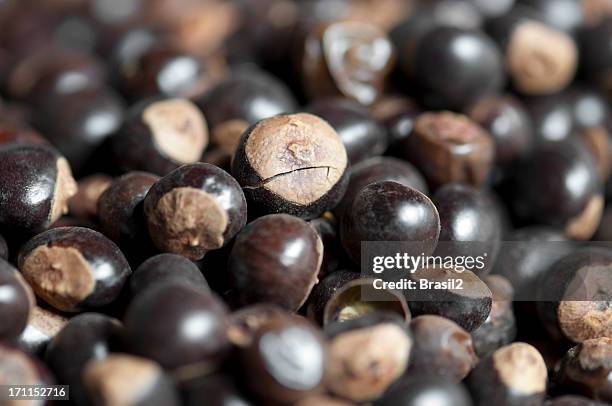 guarana seeds - guarana stock pictures, royalty-free photos & images