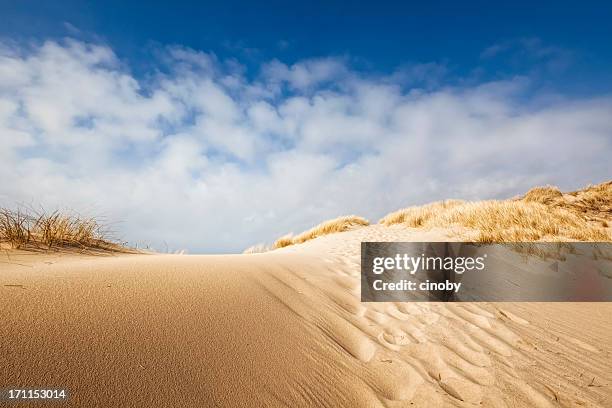 duna de arena de la playa - isla de sylt fotografías e imágenes de stock