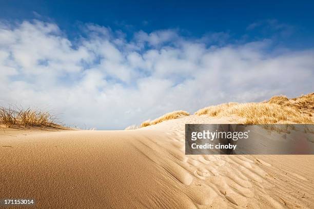 plage dune de sable - meteorology photos et images de collection