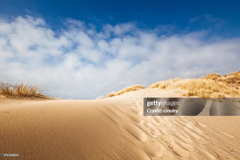 Sand dune on the coast of Sylt