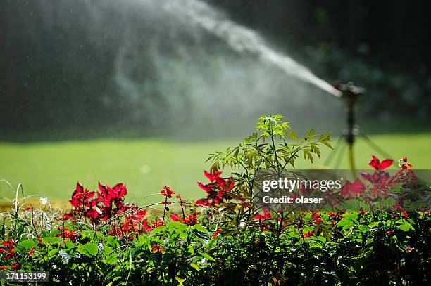 rociadores de trabajo, flores, de cerca - sprinkler system fotografías e imágenes de stock