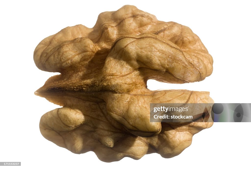 Isolated Walnut fruit nut