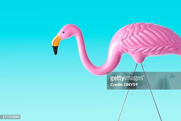 pink flamingo - plastic flamingo stock pictures, royalty-free photos & images
