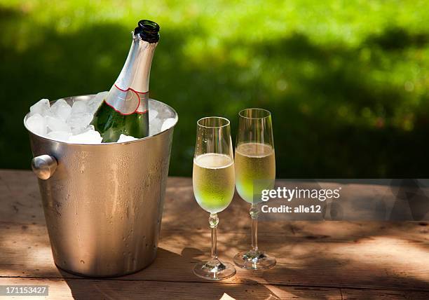 cold champagne - ice bucket stockfoto's en -beelden