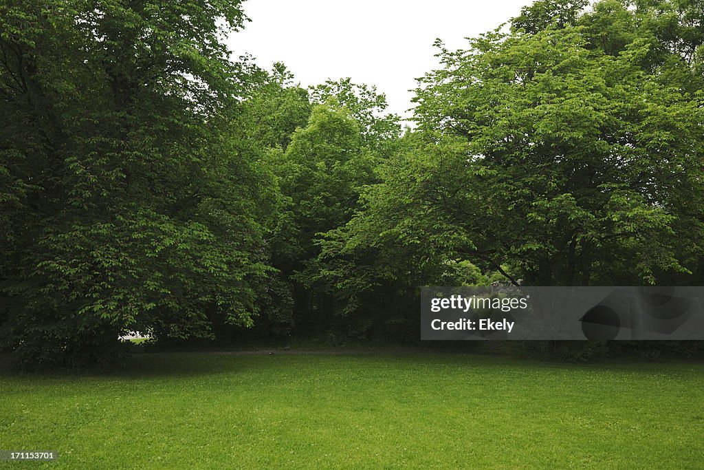 Green park with large old decideous trees and shaded areas.