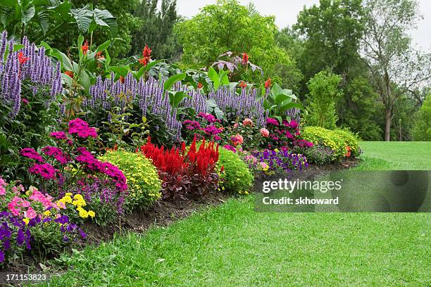 bunte blume garden - flower border stock-fotos und bilder