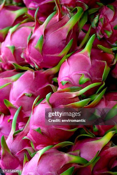 fresh dragon fruit for sale in a thai market. - pitaya stock pictures, royalty-free photos & images