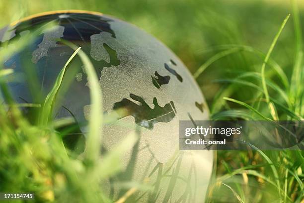 grüne erde - green glass business stock-fotos und bilder