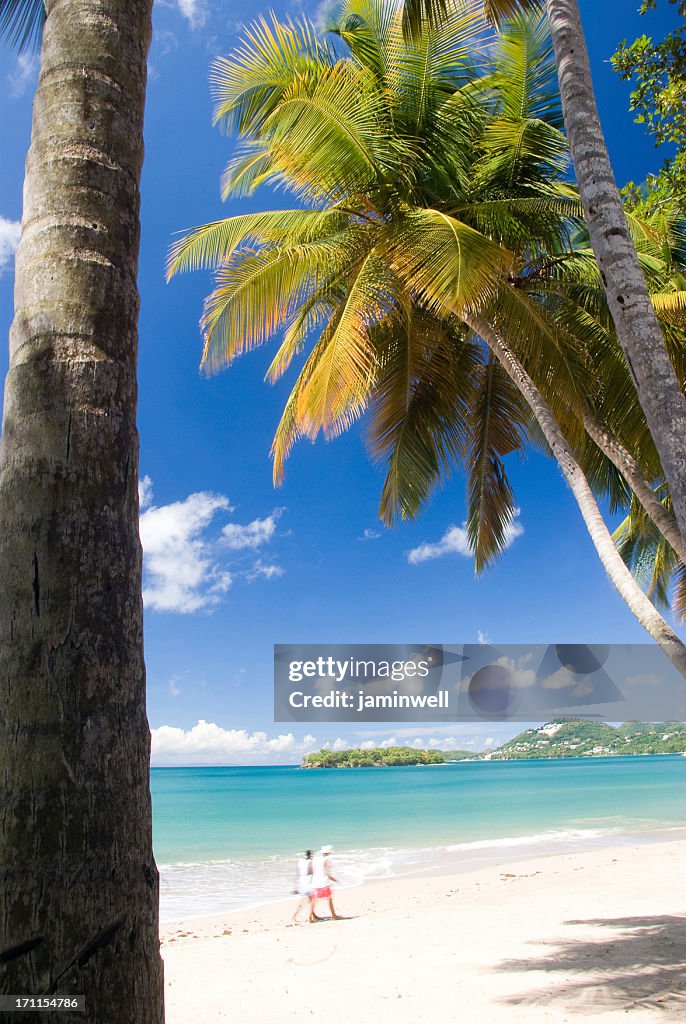 Romantic couple walking on Caribbean beach