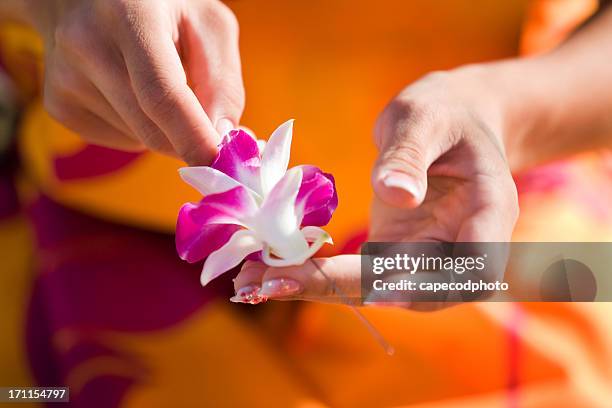 making a lei - hawaiian lei stockfoto's en -beelden