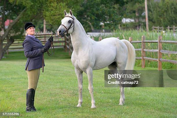 pferd und frau im englischen stil kleidung - arabic horse stock-fotos und bilder