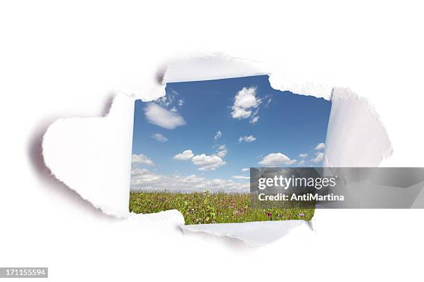 hole in paper with view to summer meadow - scheur grond stockfoto's en -beelden