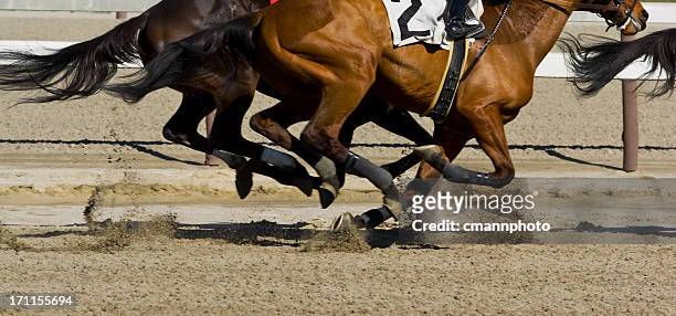 purosangue cavallo da corsa galloping - jockey foto e immagini stock