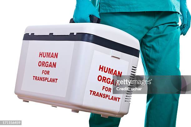 human organ transplantation - human internal organ stock pictures, royalty-free photos & images