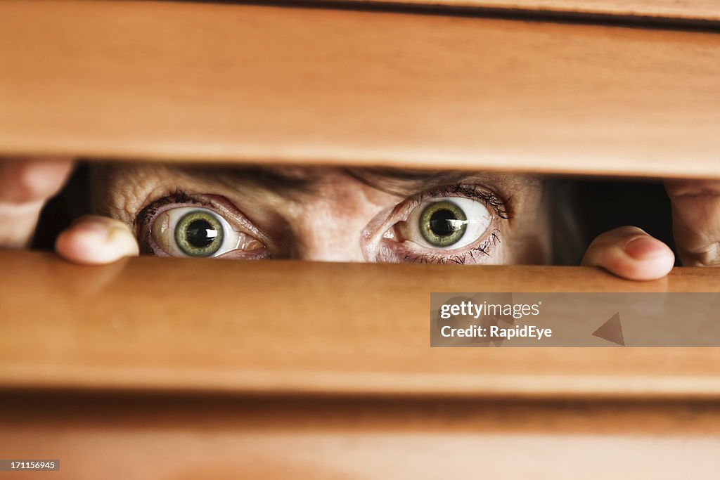 Worried wide-eyed old woman looks through wooden venetian blind