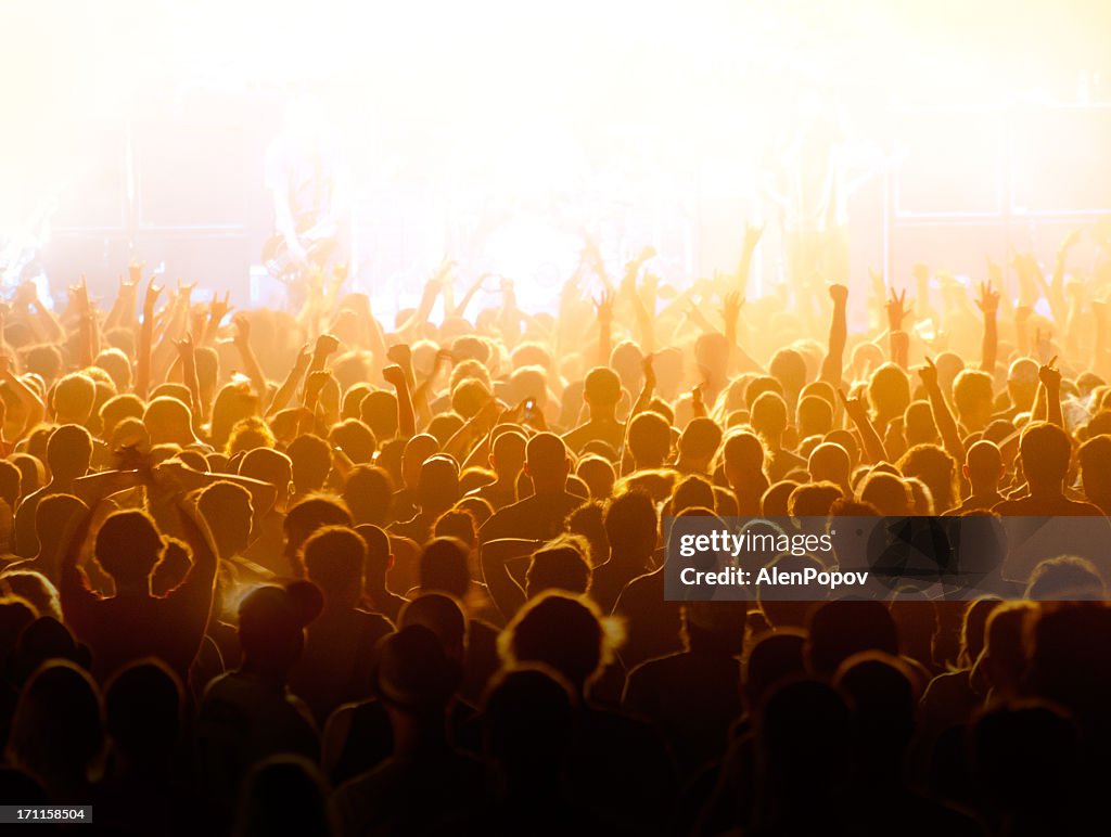 Concert crowd