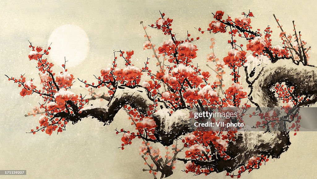 Plum blossom