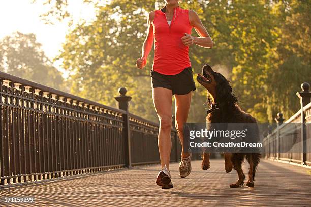 woman running in park with dog - dog running stock pictures, royalty-free photos & images