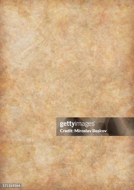 high resolution ancient animal skin parchment vignette grunge texture - mottled skin 個照片及圖片檔