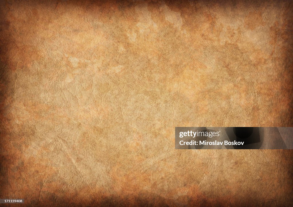 High Resolution Ancient Animal Skin Parchment Vignette Grunge Texture