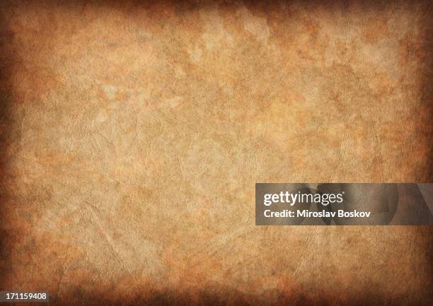 high resolution ancient animal skin parchment vignette grunge texture - leather 個照片及圖片檔