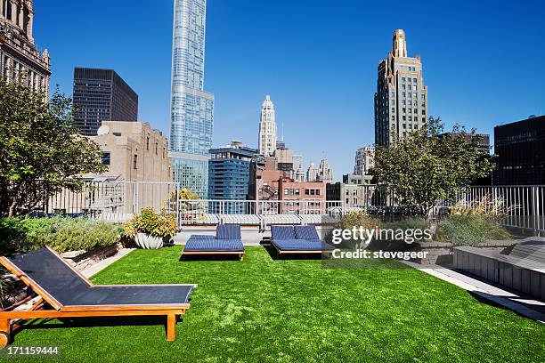 rooftop garden in the loop, downtown chicago - dakterras stockfoto's en -beelden