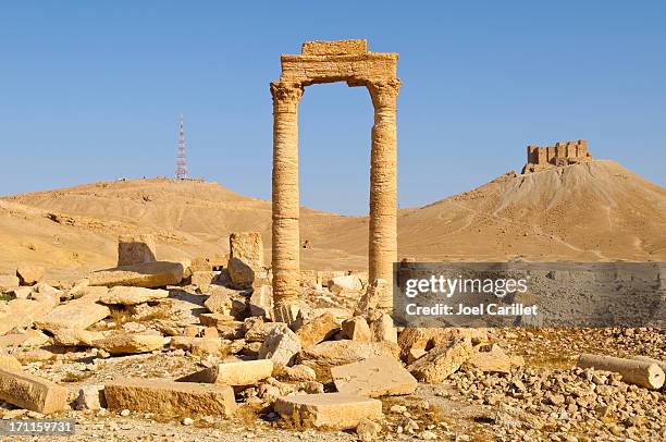 ancient and modern towers in palmyra, syria - palmera stockfoto's en -beelden