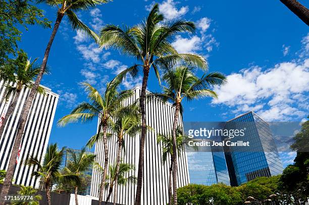 centro de la ciudad de honolulu, con palmeras y cielo azul - honolulú fotografías e imágenes de stock