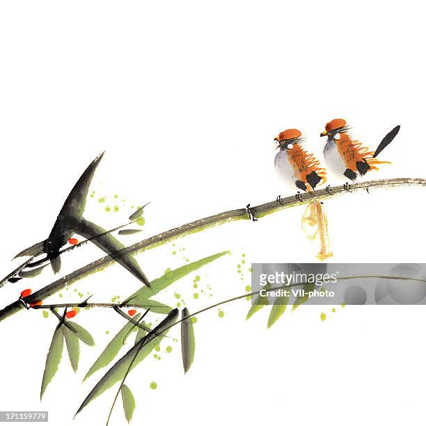 chinese painting with birds - bamboo material stock illustrations