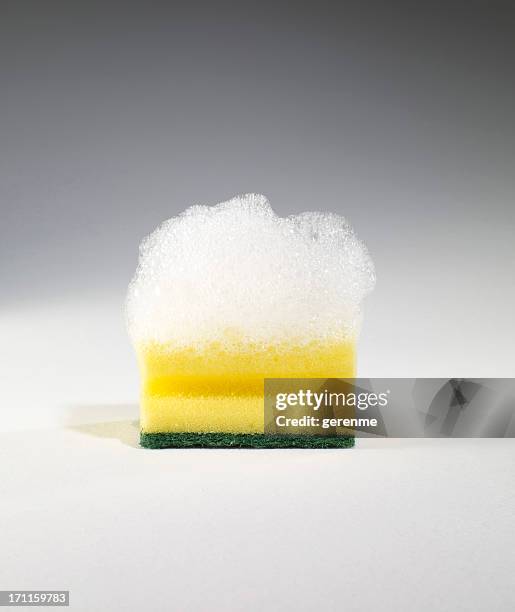 sponge - scouring pad stock pictures, royalty-free photos & images