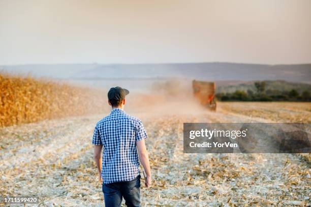 young farmer with digital tablet controlling corn harvest - may 19 stock pictures, royalty-free photos & images