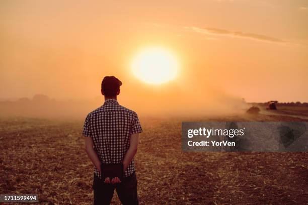 rear view of young male farmer looking at the sunset after corn harvest - may 19 stock pictures, royalty-free photos & images