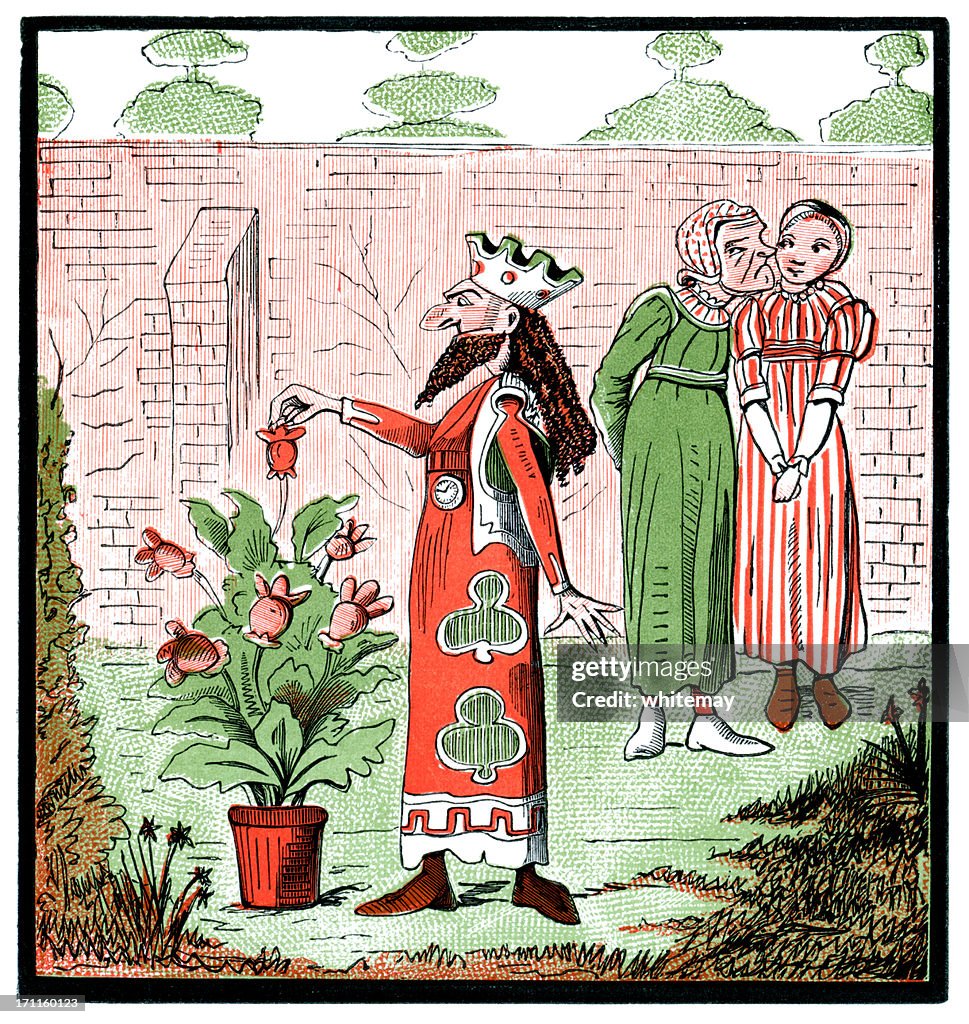King picking flower buds (Victorian cartoon)