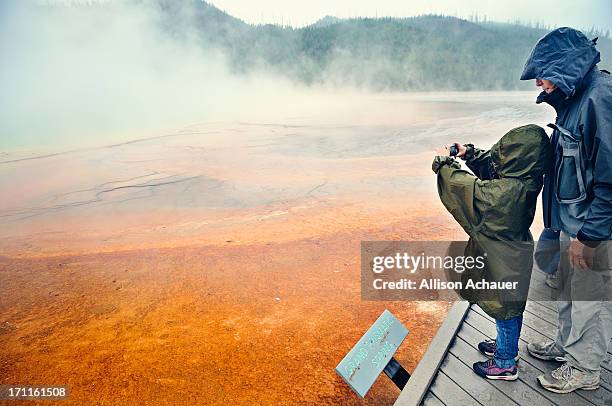 photographer-in-training - grand prismatic spring stock pictures, royalty-free photos & images