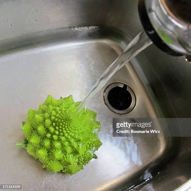 romanesco broccoli in the sink - dolly shot stockfoto's en -beelden