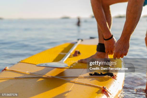 closed shot of man ready to climb on paddle board - argentina beach stock pictures, royalty-free photos & images