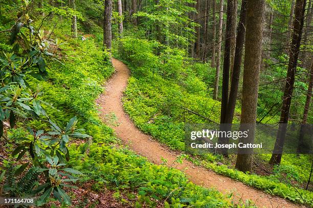 the way to looking glass - pisgah national forest stock pictures, royalty-free photos & images